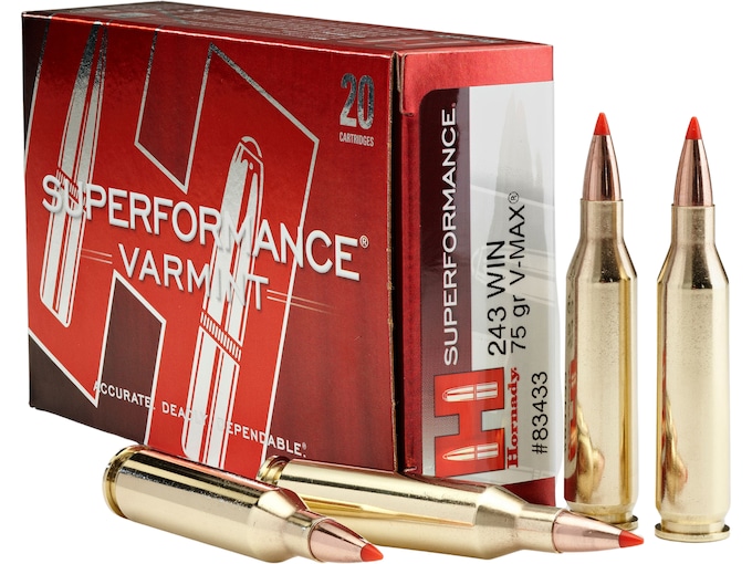 417060.jpg Hornady Superformance Varmint Ammunition 243 Winchester 75 Grain V-MAX Polymer Tip Box of 20 - Image 1