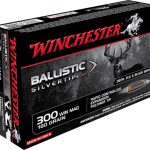 Winchester Ballistic Silvertip Ammunition 300 Winchester Magnum 180 Grain Rapid Controlled Expansion Polymer Tip Box of 20